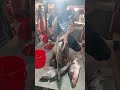 Amazing Big Fish Cutting Skill In BD Fish Market l Fish Blogger Nazmul #shortsfeed #shorts