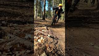 Dry Loam fly !  #mtb #downhill #mountainbike #emtb #czechrepublic #enduro #slowmotion #slowed
