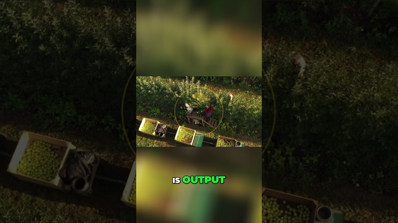 Modern Agriculture: Seeds to Market with Tech