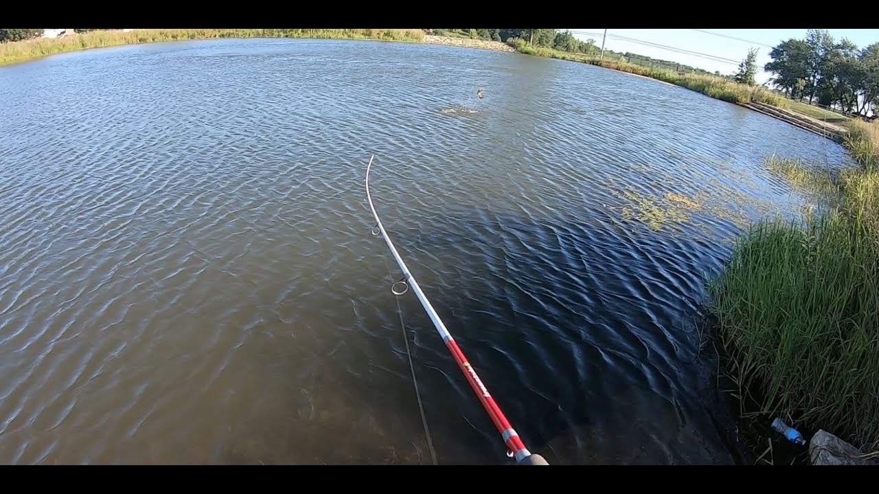 Bass fishing local small pond Bass Manager The Best Bass Fishing