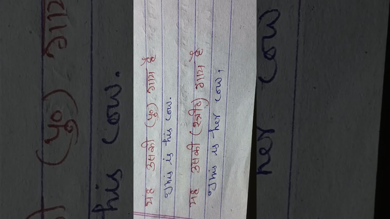 Oxford Basic English Translation 