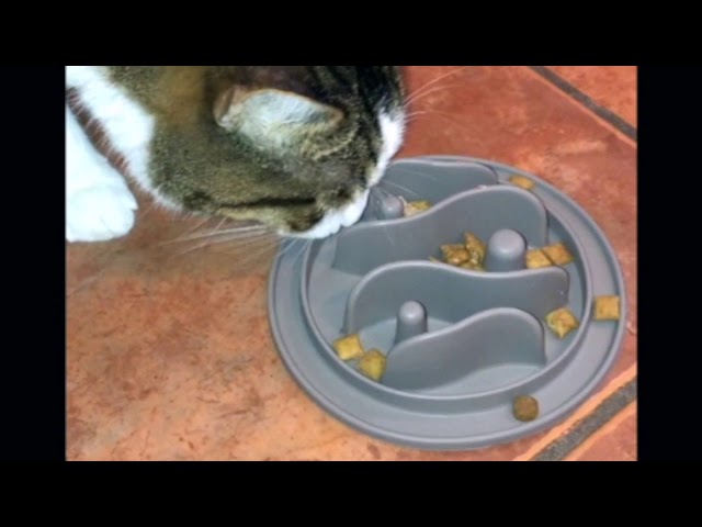 Messy Mutts Cat Silicone Interactive Feeder Large