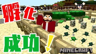 【ぽこなかくら＃232】ついにカメの卵の孵化に成功！カメのウロコをGET【マインクラフト】