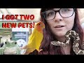 I GOT TWO NEW PETS! | PITTSBURGH PET EXPO &amp; PGH REPTILE SHOW w/ Tyler Rugge