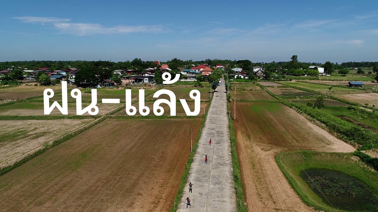 ฝน-แล้ง [FULL]┃ทุ่งแสงตะวัน 31 ก.ค. 64