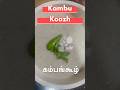 Kambu Koozh Recipe–Summer Super Drink!||  #HomemadeRecipes #EasySummerDrinks #AbisHobbies