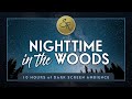 Nighttime In The Woods - Forest Sounds w/ Crickets & Hooting Owl for Sleep - Dark Screen 10 Hours