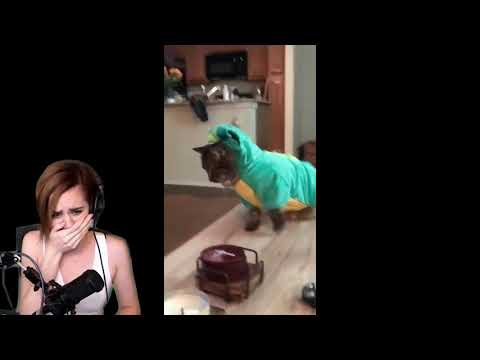 Télécharger gratuitement Images That S The Cutest Fucking Thing I Ve Ever Seen Know Your Meme le plus cool par