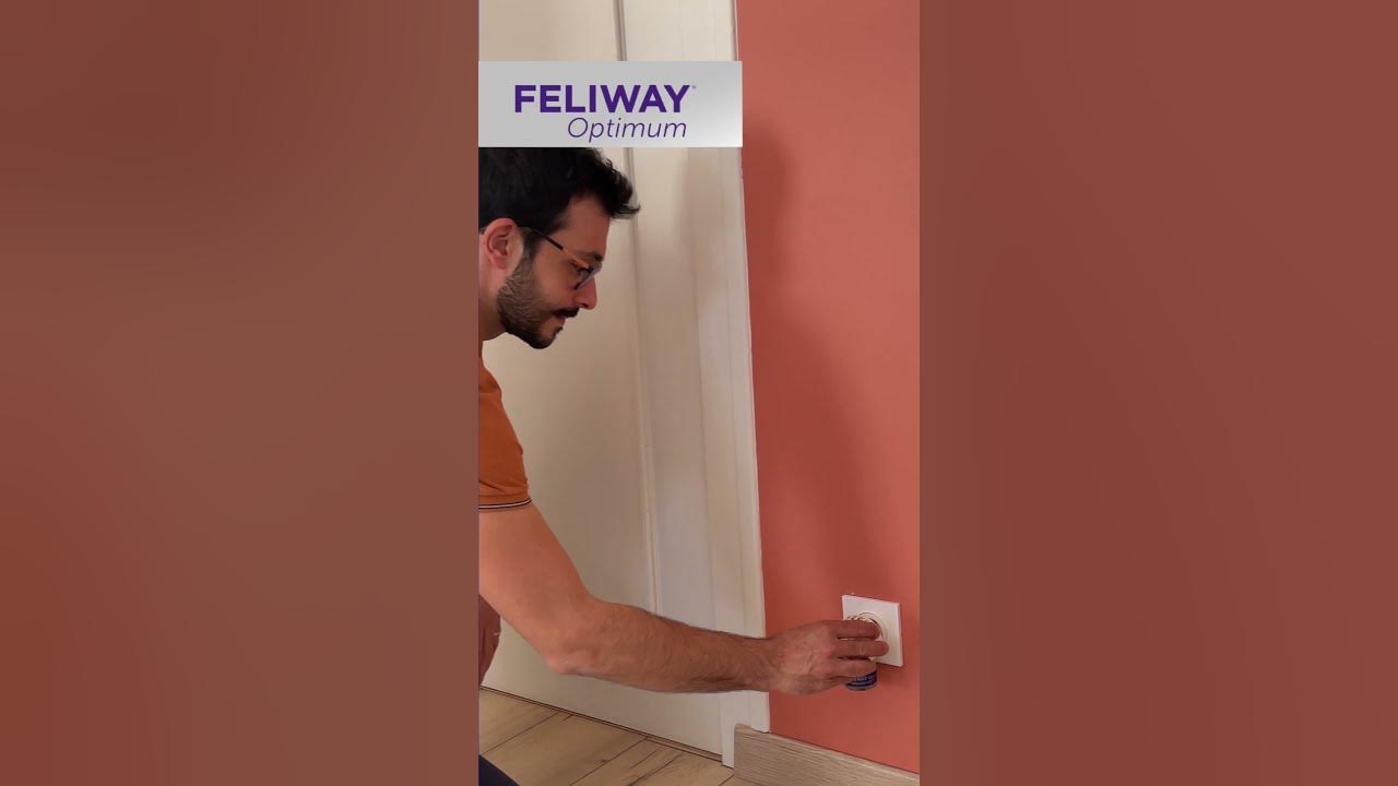 How to use FELIWAY Optimum? 