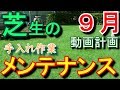 芝活2019年９月の芝生の手入れと動画計画