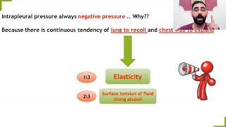 lec2 Respiratory system physiology