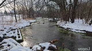 Snow By The Creek 4K