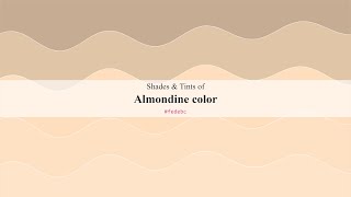 Shades & Tints of Almondine color #fedebc A Cool Orange color #e1c5a7 #c5ac92 #fee1c3 #fee5ca