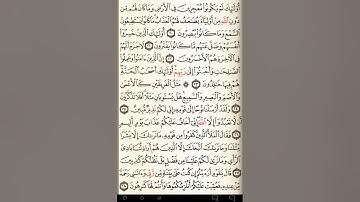 ماهر المعيقلي سورة هود مكتوبة صفحة 224 مصحف المدينة المنورة جودة عالية