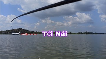 Câu Cá Ổ | Câu Cá Rô Phi, Cá Mè Siêu Quấn Ổ Gặp Ngay Em Hugo 150k Ngon Lành | Nghiện Câu TV | T41