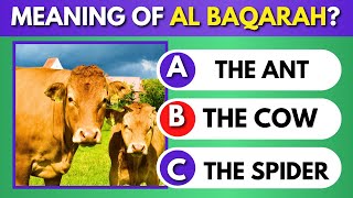 Surah Al Baqarah Quiz Trivia | Islam Quiz screenshot 4