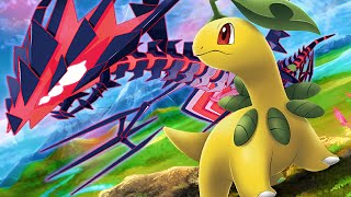 I Fought a Crazy Bayleef Set on High Ladder | VGC Reg G