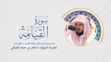 سورة القيامة - صلاة المغرب ٩ صفر ١٤٤٥ هـ