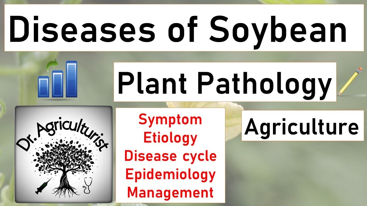 L12 | Diseases of Soybean | Plant Pathology | Management of Mosaic, Blight | BSc Agriculture | Exam