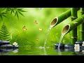 Tranquil Music for Stress Relief and Meditation – Peaceful Piano Flow and Nature Serenity