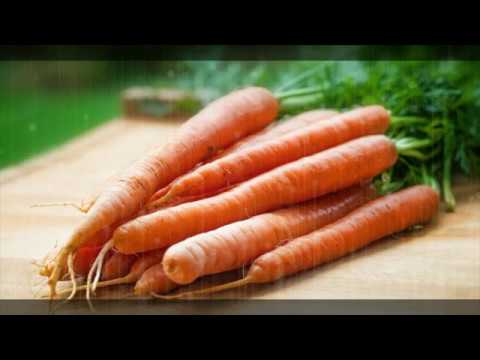 Video: Dassiele mănâncă morcovi?