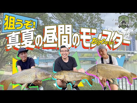 鯉釣り】90cmオーバー連発!? 真夏の昼間に巨鯉を狙う！#carpfishing