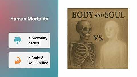 Assignment 3 Video Presentation