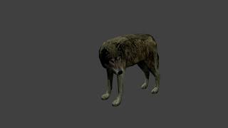 low-poly wolf game-ready model (rigged and animated)