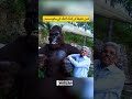 Amin Hafeez Having Fun with King Kong | Discover Pakistan shorts