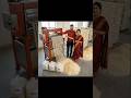 Noodle Making Machine Price Noodle Making Business Chowmein Making Machine Price Noodle Machine