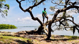 Climbing The Highest Indian Mound On Tampa Bay! Beautiful Philippe Park - Safety Harbor, Florida