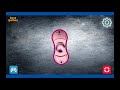 HAND SPINNER SIMULATOR Game Walkthrough HAND SPINNER SIMULATOR Game Walkthrough
