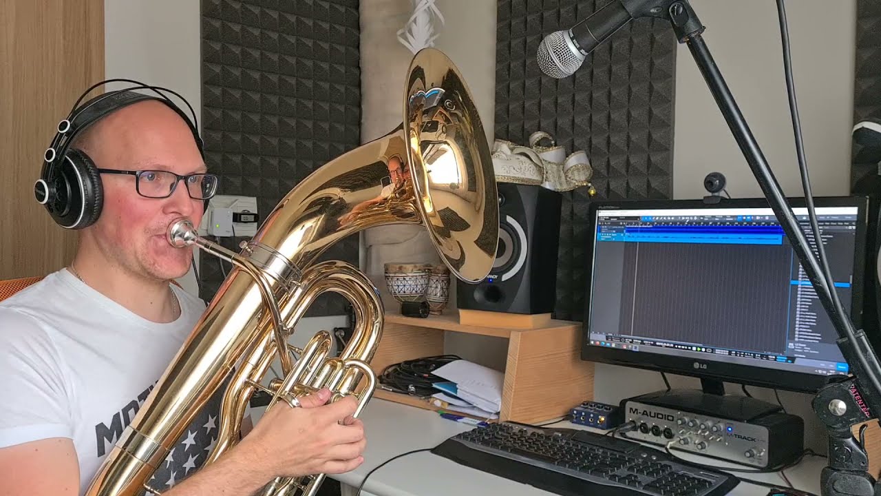 Grazer Spatzen - Das Bariton Baby (Cover by Sašo Nunar)