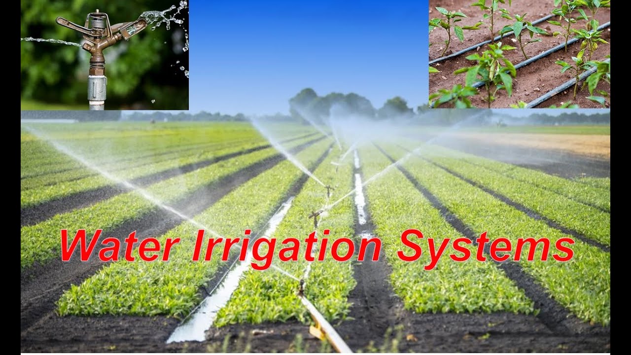 Sprinkler, Rain Gun & Trip Irrigation Systems Tamil YouTube
