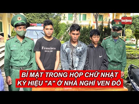 Video Bí mật trong hộp chữ nhật ký hiệu 