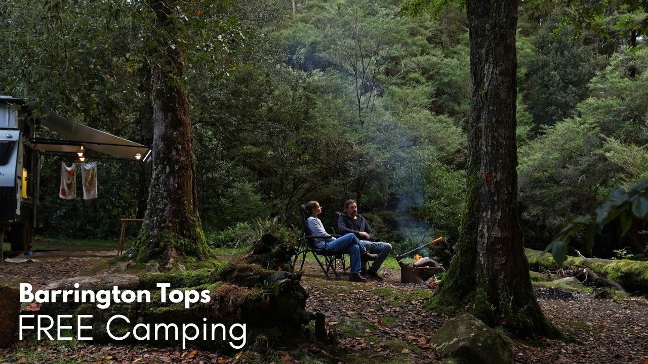 Free Rainforest Camping right on the River | Calming River Sounds