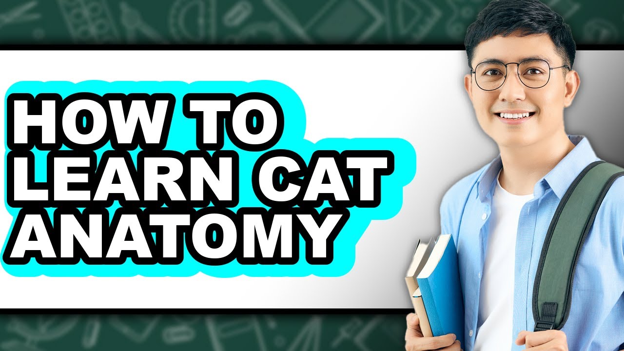 How to Learn Cat Anatomy (Full Guide)