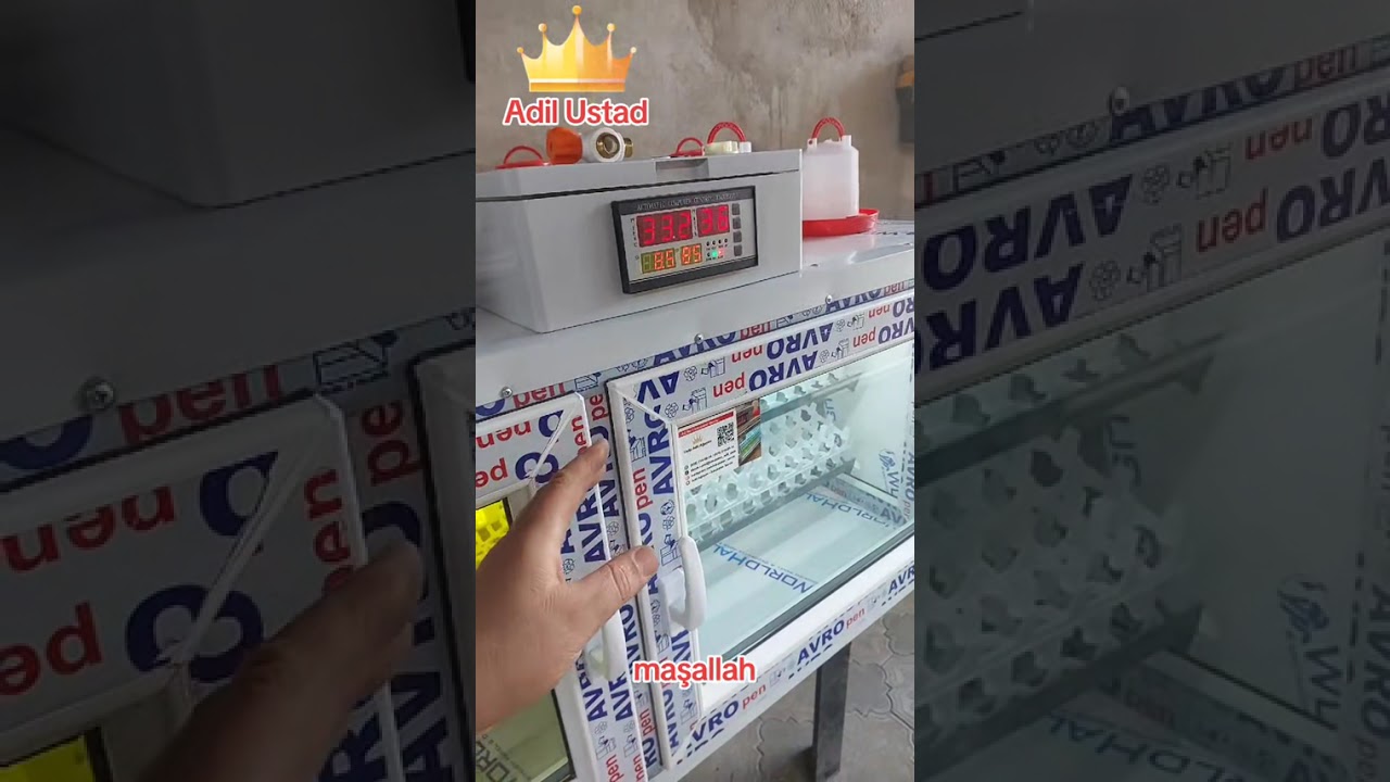 inkubator Adil usta 055-214-05-14