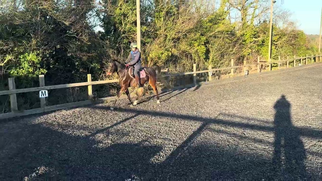 E-Riders - Rebecca Kelly & Spyder - BD Intro 4 - December 2025