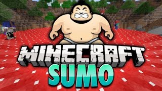 Minecraft Sumo Handcam - Chill Montage