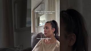 Well… Blame yourself mom 🙄😅 #dog #puppy #dogshorts