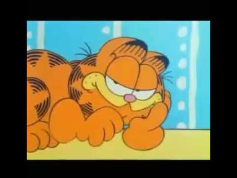I thought this was a kids show....
