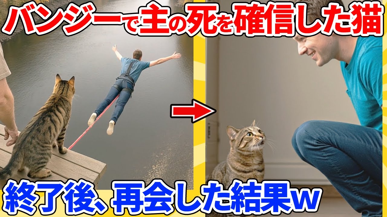 【2ch動物スレ】バンジージャンプした主が死んだと思った猫→終了後、再会した結果ｗｗｗｗｗ