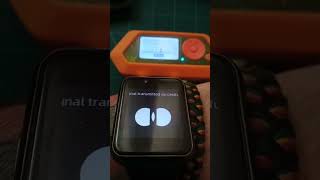 Zhilly Tesla Port Open Test