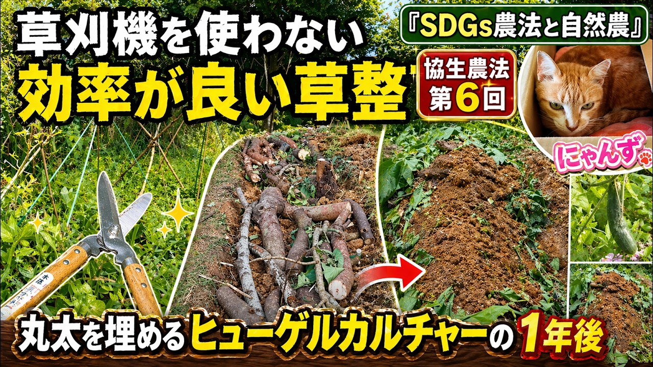 SDGs農法と自然農』協生農法 第6回 | 草刈機を使わない効率が良い草