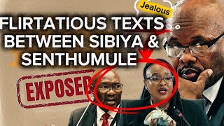 Love Loyalty Or Revenge Sibiyas Explosive Testimony At Madlanga Commission