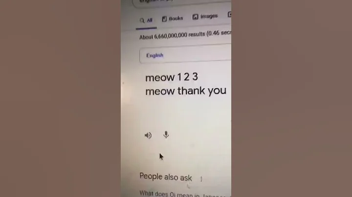 TYPE “meow 123 meow thank you” Into Google Translate From English To Japanese..🥷 - DayDayNews
