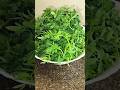 chana saga ghanta recipe #chana saag recipe #authentic #foryou #odia #food #shorts #ytshorts