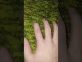#ножвспину #предательство