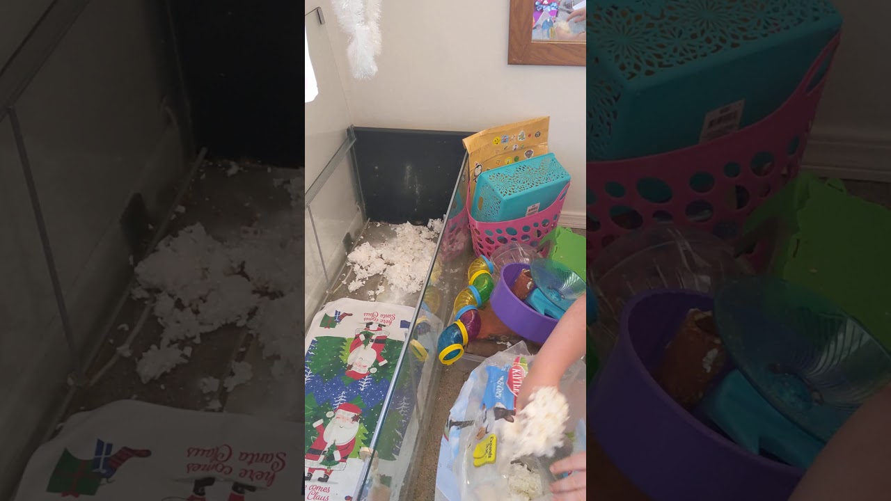 ikea detolf rat cage cleaning